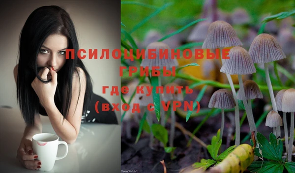 соль курить ск Михайлов