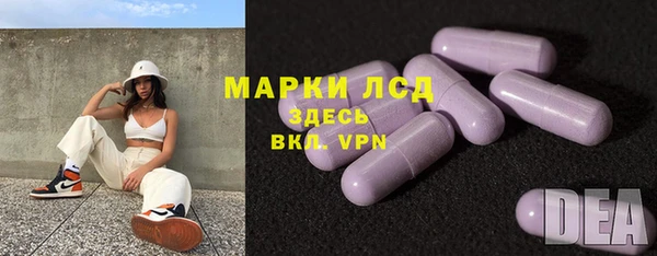 ПСИЛОЦИБИНОВЫЕ ГРИБЫ Медвежьегорск
