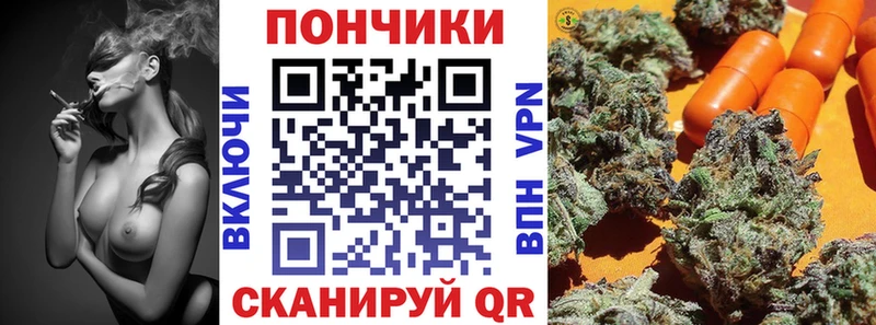МАРИХУАНА OG Kush  Купить закладки  Южа 